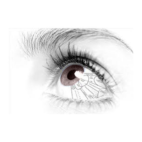 heal & beyong left eye testing