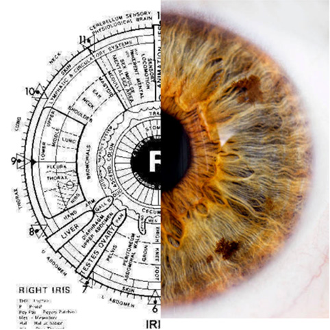 heal & beyong left eye testing